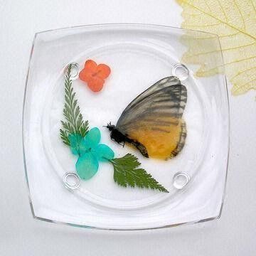Acrylic Coaster with Genuine Flower Design, Customized Logo Prints are Accepted